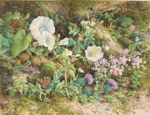 花卉研究，1866年。