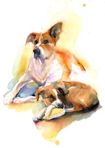 Charlie和Sally，2016，（水彩画）