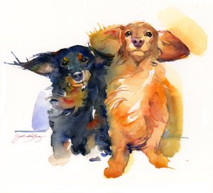 Dacshund Duo，2014，（水彩画）
