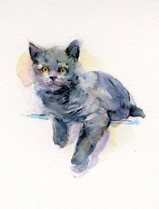 灰色小猫，2017，（水彩）