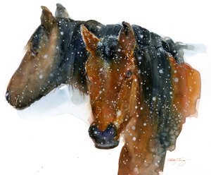 2015年冬季马（水彩画） 作者 约翰·基林