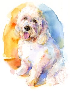 奥利弗肖像，2016年，（水彩画）