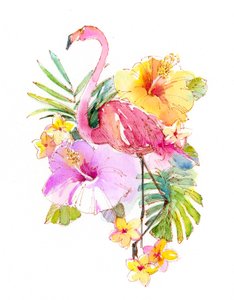 2017年热带拼贴画（水彩画） 作者 约翰·基林