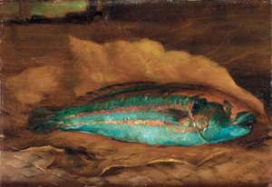 对鹦鹉鱼的研究，萨摩亚，1890年 作者 John La Farge或Lafarge