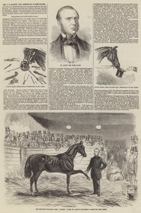 JS Rarey先生，美国驯马师 作者 John Leech
