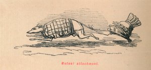 相互依存，1852年 作者 约翰·里奇
