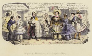 Bloomerism的进展，或完全变化 作者 John Leech