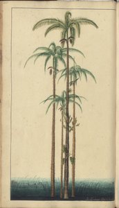牙买加“政治遗产”的一页，420 作者 约翰·林赛