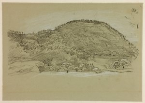 漫步田野
