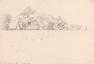 温莎森林 作者 约翰·林内尔