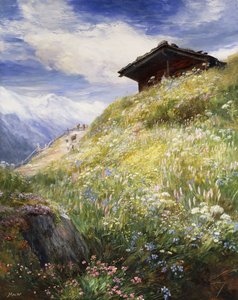 瑞士的高山草甸，