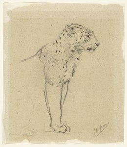 Studie van een staande luipaard 作者 约翰麦卡伦天鹅