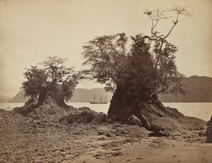 利蒙湾的岛屿，1871年。