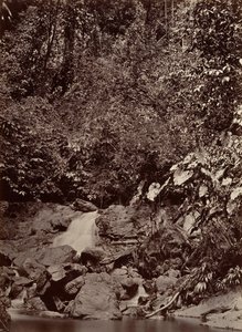 热带风光，卡斯特，利蒙河，1871年。