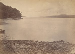 热带风光，达里安港--向南看，1871年。 作者 约翰·莫兰