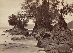 热带风光，利蒙湾--退潮，1871年。