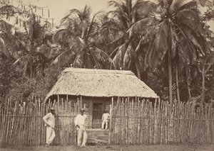 热带风光，本土小屋，特步，1871年。