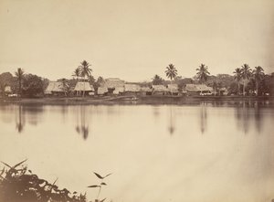 热带风光，圣玛丽亚-德尔-雷阿尔，达里安，1871年。