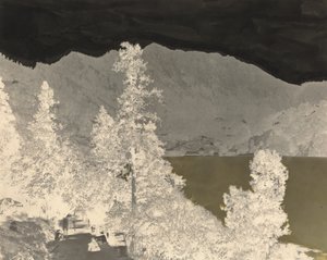 来自南区的 Nynee Tall