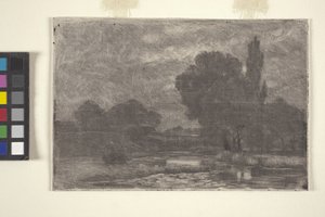 沼泽景观（蚀刻和单版画）