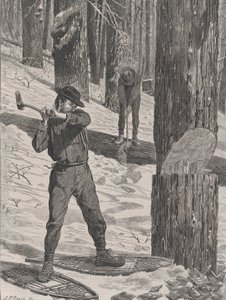冬季伐木 每周六，第二卷，新编，1871年1月28日。 作者 约翰·帕克·戴维斯