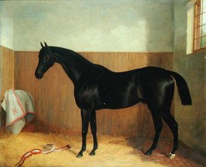 汤米，马的肖像，约1870年代（布面油画 作者 约翰·保罗