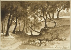 布尔沃斯营地的景观，Leigh Woods