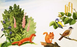 榛子树