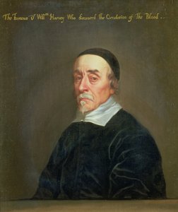 William Harvey的肖像（1578-1657）