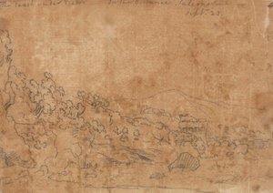维特里的海岸 作者 约翰·罗伯特·科森斯