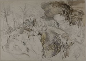岩石景观中的灌木和树木 作者 约翰·拉斯金
