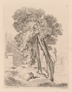 研究都是免费的板块在诺维奇索普，诺福克，1838 18棵树。 作者 约翰·塞尔·科特曼