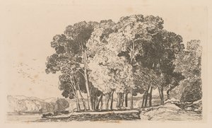 研究自由板3种附近树木特威克纳姆，1838。 作者 约翰·塞尔·科特曼