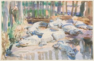 Muddy Alligators，1917年（纸上石墨） 作者 约翰·辛格·萨金特