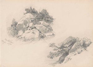 岩石和刷子，Hintersee，德国，1871年（石墨在wover纸上） 作者 约翰·辛格·萨金特
