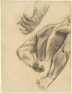 判断的研究，1903-1916。 作者 约翰·辛格·萨金特