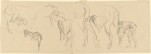 在前线给髑髅马穿鞋的研究[直页]，1918年。 作者 约翰·辛格·萨金特