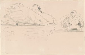 水中的天鹅，1880-1900。 作者 约翰·辛格·萨金特