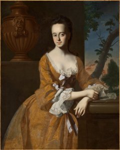 约翰默里夫人（Lucretia Chandler）（1730-68），1763年 作者 约翰·辛格尔顿·科普利