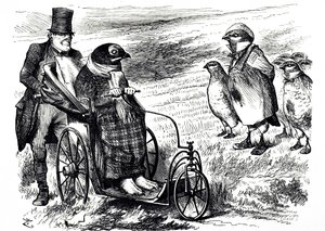 一幅评论暂停松鸡射击的漫画，以使鸡群得以重建。由John Tenniel（1820-1914）绘制，他是英国插画家、图形幽默家和政治漫画家。 作者 约翰·坦尼尔