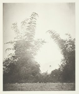 福尔摩沙Baksa的竹子，约1868年。 作者 约翰汤姆森