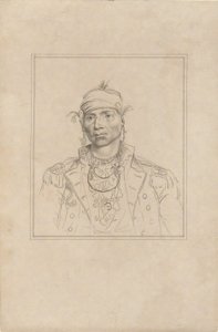 Hopothle Mico 作者 约翰·特伦布尔
