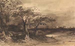 河流、树木和遥远的小镇 作者 约翰·瓦利