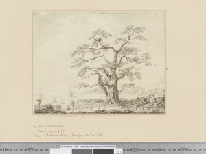 F.44 View on Sea Shore, large tree in centre, c.1783-84 作者 约翰·韦伯
