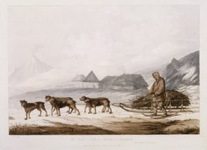 Narta，或Kamtschatka的负担雪橇，来自“南海的景色”，酒吧。 1789年 作者 约翰·韦伯