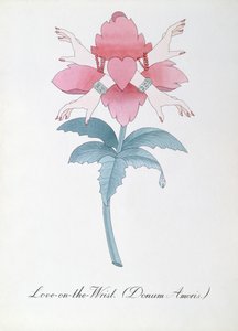 手腕上的爱 (Donum Amoris.) 插图，摘自约翰·威尔 (John Weir) 的《植物学伪书》 作者 约翰·威尔