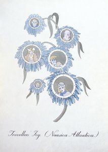旅行者的欢乐 (Nausica Atlantica.)，插图来自约翰·威尔 (John Weir) 的《植物学伪书》 作者 约翰·威尔