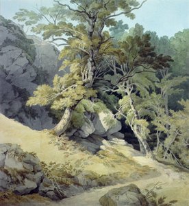 Canonteign，Devon 作者 约翰·怀特·雅培