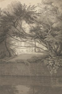 Trees Overhanging a Lake 作者 约翰·怀特·雅培