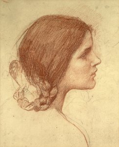 一个女孩的头，c.1905（纸上的红色粉笔） 作者 约翰·威廉姆·沃特豪斯